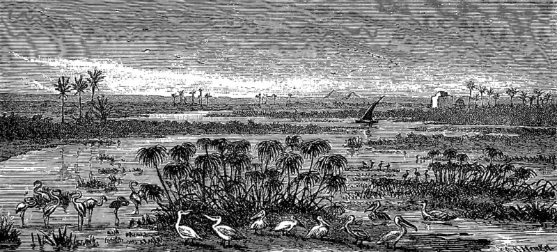 River mouth, Delta mouth of the Nile into the Mediterranean Sea, river landscape, island world, geology, pyramids on the horizon, palm trees tropical plant, pelicans, flamingos, historical view, Egypt, Seydlitz Geography 1885