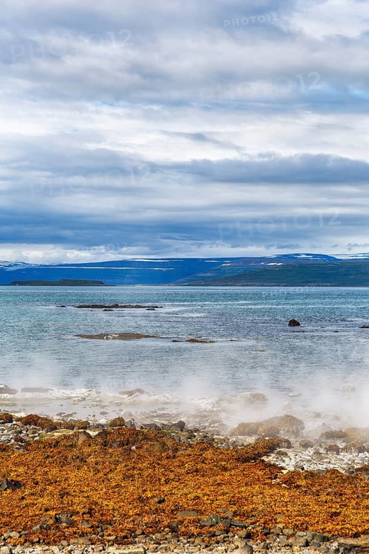 Hot spring flows into the sea, steaming rocky coast near Reykjanes, Súðavík, Ísafjarðardjúp fjord, Vestfirðir, Westfjords, Iceland