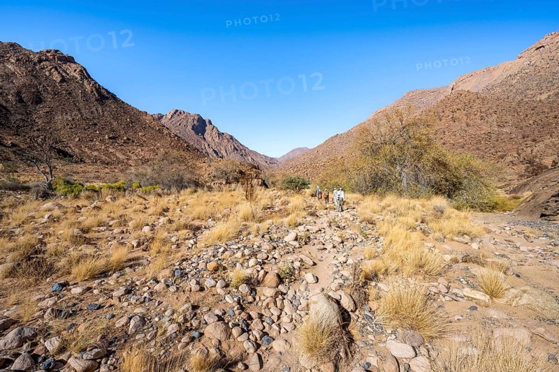 Tourists on a hiking trail in the Tsisab Gorge, White Lady Trail, desert landscape, Brandberg, Erongo, Damaraland, Namibia