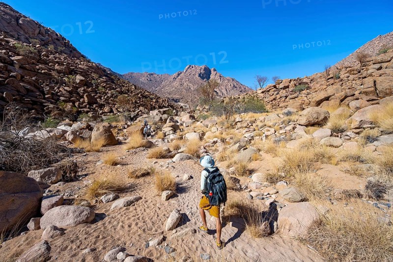 Tourist on a hiking trail in the Tsisab Gorge, White Lady Trail, desert landscape, Brandberg, Erongo, Damaraland, Namibia