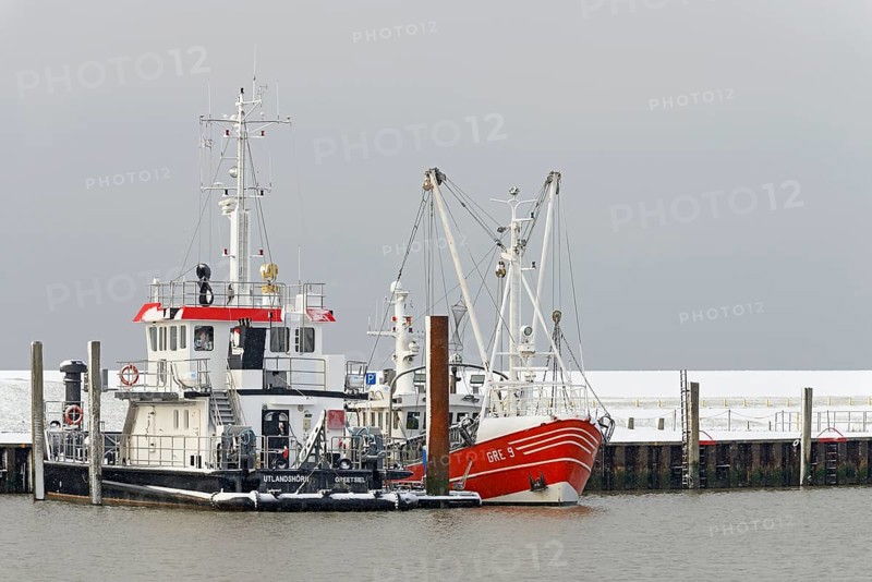 Winter day, onset of winter, ships in the harbour, North Sea, Norddeich, Lower Saxony, Germany