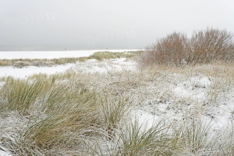 Winter day, onset of winter, snow-covered dune landscape of Norddeich, North Sea, Lower Saxony, Germany