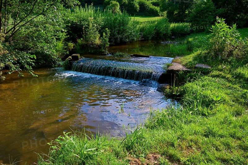 Quiet stream with lots of greenery and plants on the banks, summer, Ohrnbachtal, Weckbach, Odenwald, Bavaria, Germany