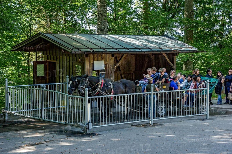 Mountain station, horse-drawn carriage stop for tourists at Neuschwanstein Castle, fairytale castle of King Ludwig II, UNESCO World Heritage Site, mass tourism, Schwangau, Königswinkel, Allgäu, Swabia, Bavaria, Germany