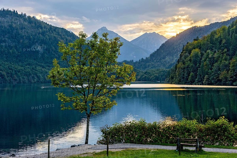 Alpsee at Neuschwanstein Castle, behind Vilser Kegel, Brentenjoch with Roßberg, Tannheimer Berge, sunset, Hohenschwangau, Schwangau, Königswinkel, Ostallgäu, Allgäu, Swabia, Bavaria, Germany