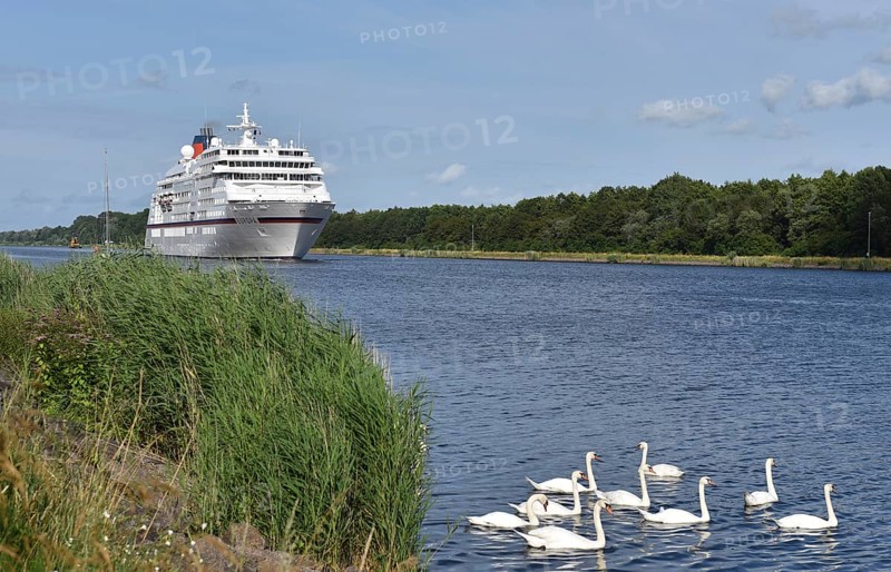 MS EUROPA, cruise ship EUROPA sailing in the Kiel Canal, NOK, Kiel Canal, Kielkanal, Schleswig-Holstein, Germany