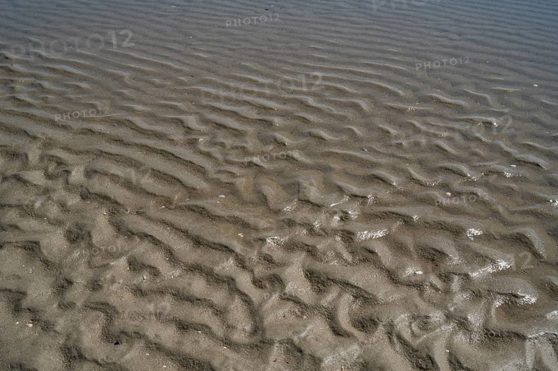 Seabed with ripples, low tide at the North Sea, Sankt Peter Ording, Eiderstedt, North Frisia, North Sea, Schleswig-Holstein, Germany