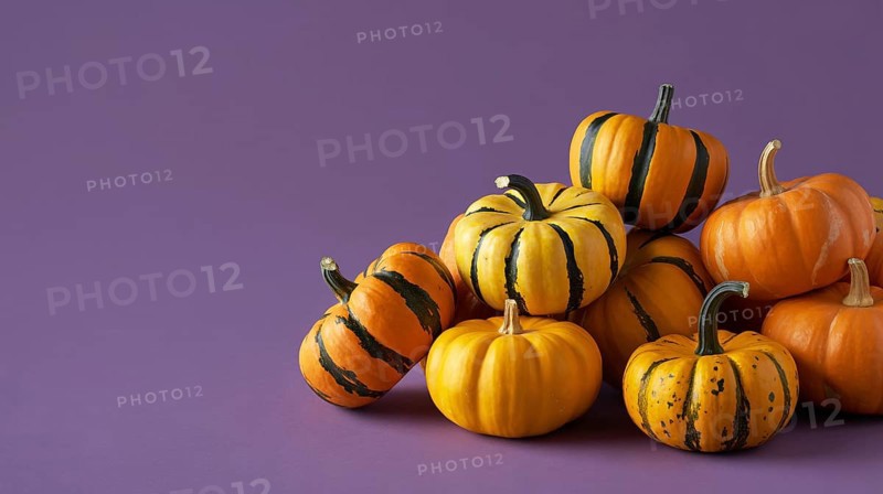Close up of small orange pumpkins with stripes on purple banner with copy space. Generative ai, AI generated