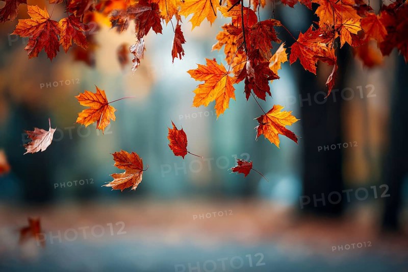 Beautiful autumn landscape with colorful foliage in the park, falling leaves natural background, AI generated