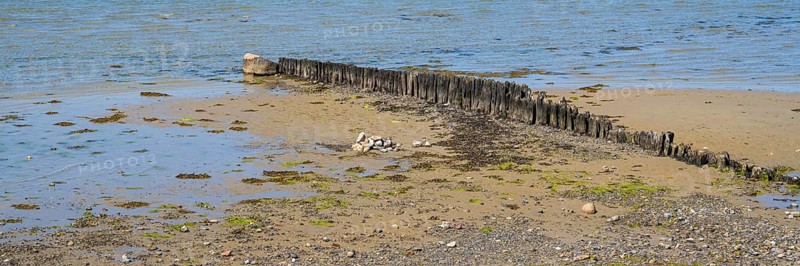 Wooden groynes on the coast, breakwater, Laboe, Baltic seaside resort, fjord, Baltic Sea, North Frisia, Schleswig-Holstein, Germany