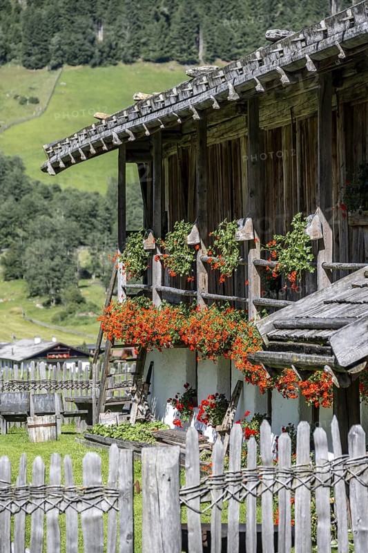 Colourful floral decorations at a rustic alpine hut, Ridnauntal, South Tyrol, Italy