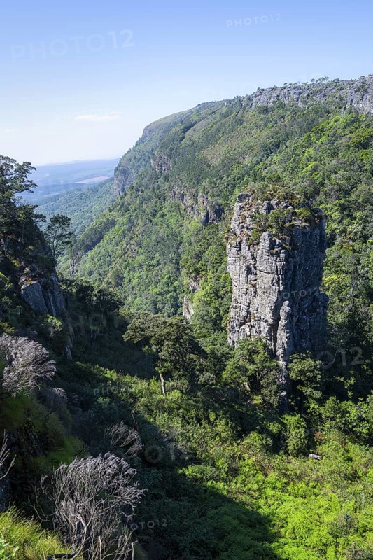 Rock needle in a densely forested canyon, Pinnacle Rock, view over canyon landscape, near Graskop, Mpumalanga, South Africa