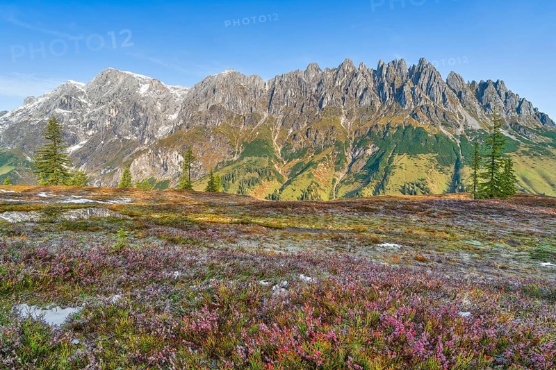 Autumn on the Hochkeil, Mandelwand, Hochkönig, Berchtesgaden Alps, Mühlbach am Hochkönig, Pongau, Salzburg