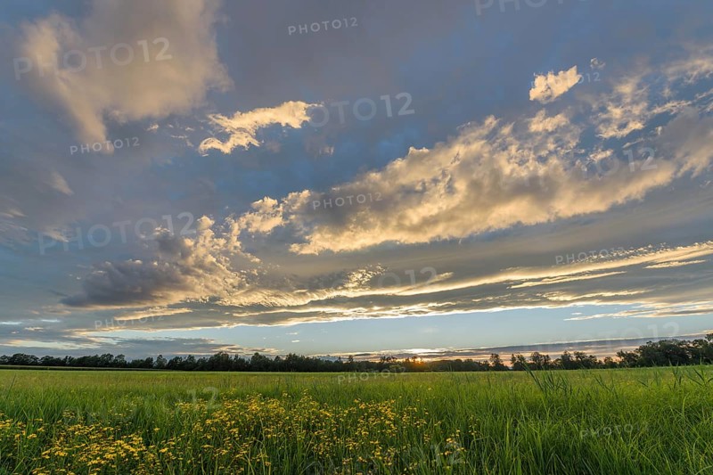 A vivid sunset lights up the sky with shades of orange and yellow, while a lush green field stretches across the landscape. Clouds form an inspiring backdrop in the evening light. Bas rhin, Alsace, Grand Est, France