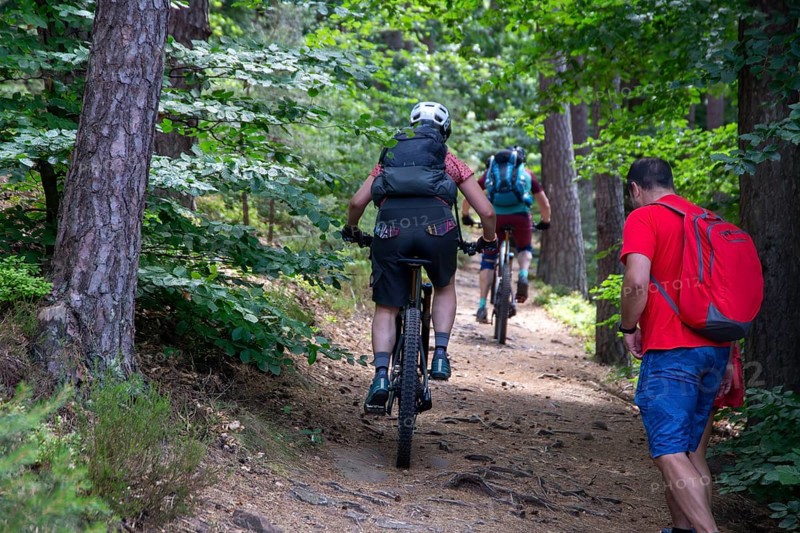 Opposite side Consideration of mountain bikers and hikers in the Palatinate Forest