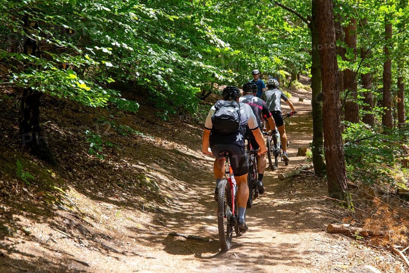 Group of mountain bikers in the central Palatinate Forest