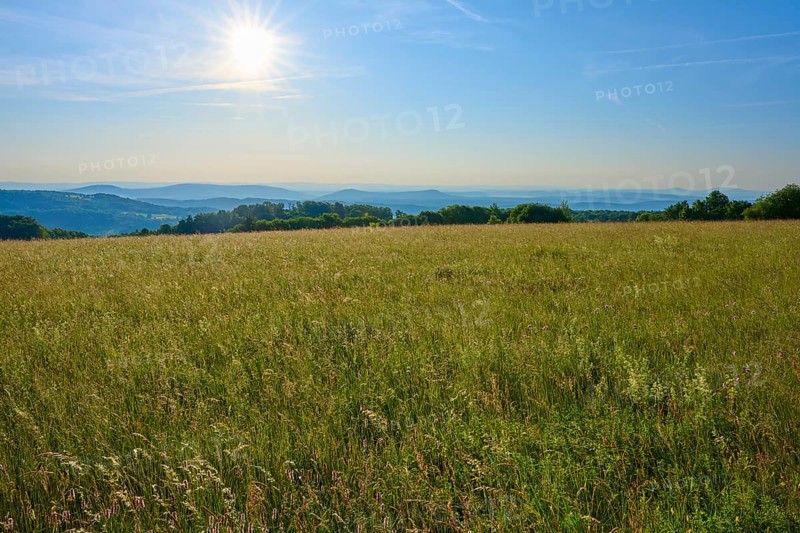 Sun-drenched meadows with hills and a clear blue sky on the horizon, Fladungen, Frankenheim, Hohe Rhön, Rhön, Hesse, Thuringia, Bavaria, Germany