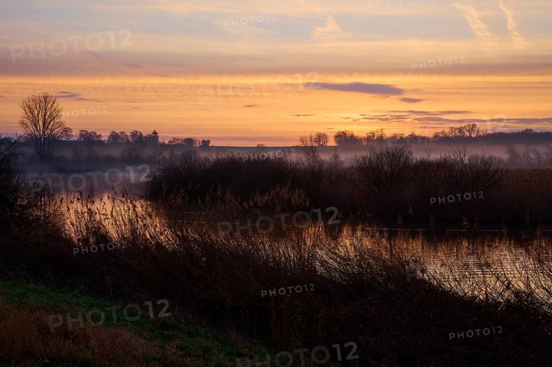 Misty riverbank at sunrise with soft warm colours, Reinheimer Teich, Reinheim, Hesse, Germany