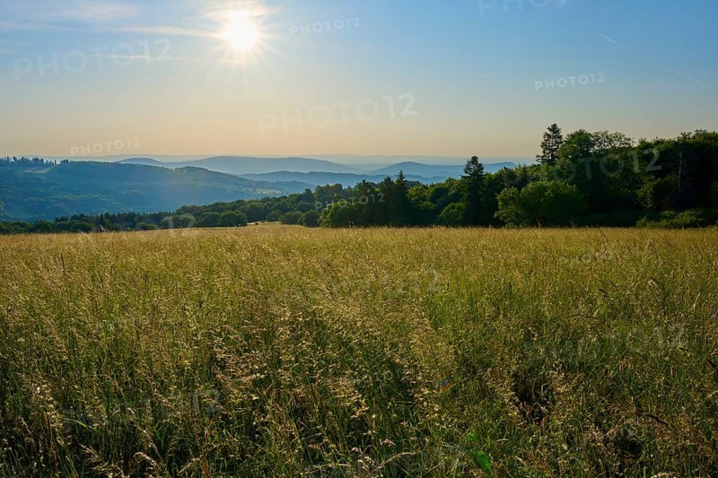 Sunlit meadow landscape with rolling hills and wooded mountain ranges on the horizon, Fladungen, Frankenheim, Hohe Rhön, Rhön, Hesse, Thuringia, Bavaria, Germany