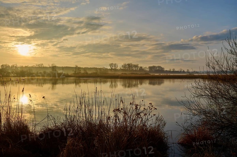 Peaceful sunrise at the lake with golden light and calm nature, Reinheimer Teich, Reinheim, Hesse, Germany