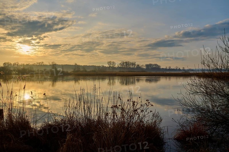Atmospheric lake landscape at sunrise, calm water with reflections and reeds in the foreground, Reinheimer Teich, Reinheim, Hesse, Germany
