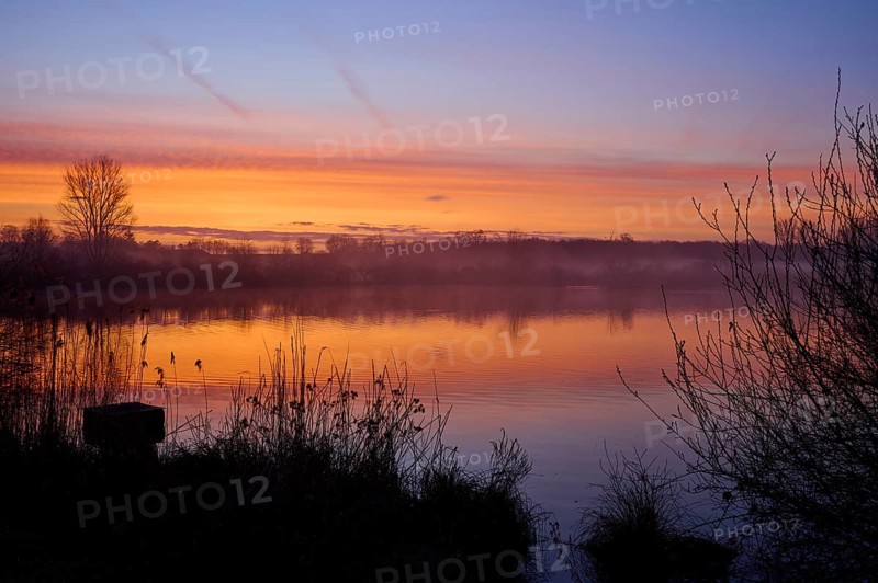Vivid morning light at sunrise over a quiet lake, Reinheimer Teich, Reinheim, Hesse, Germany
