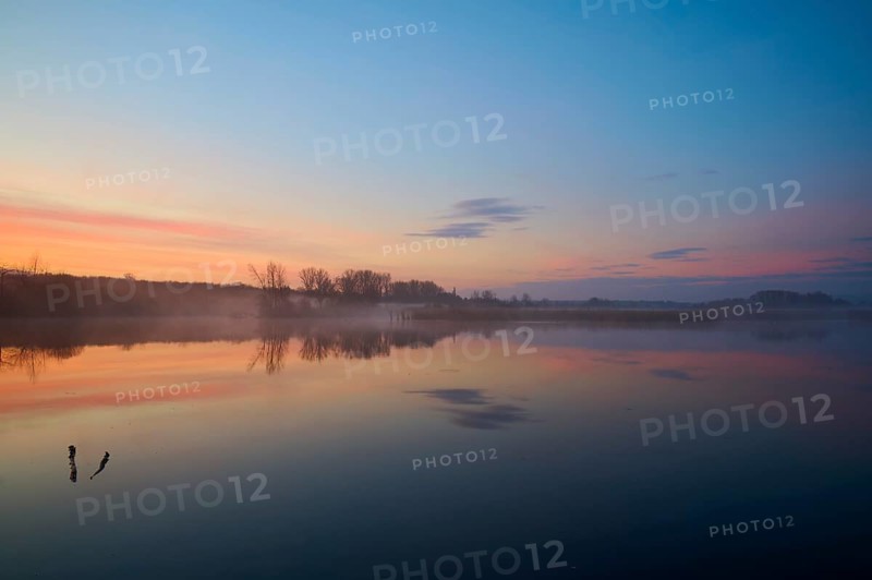 Calm lake at sunrise with soft colours and clear reflections, Reinheimer Teich, Reinheim, Hesse, Germany