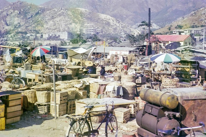 Captioned as 'Chicken Market or Builders Yard', Kowloon, Hong Kong, Asia, 1965