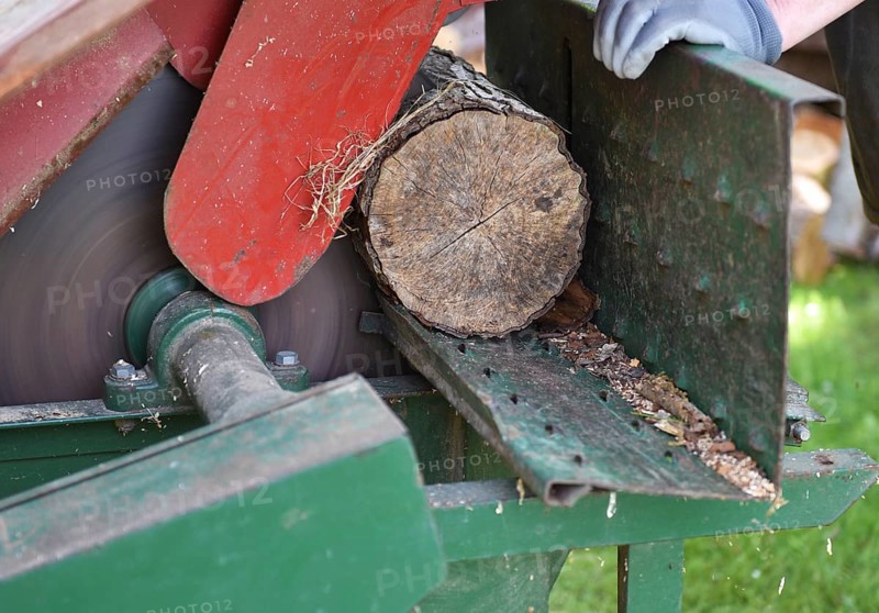Sawing wood, firewood with the circular saw