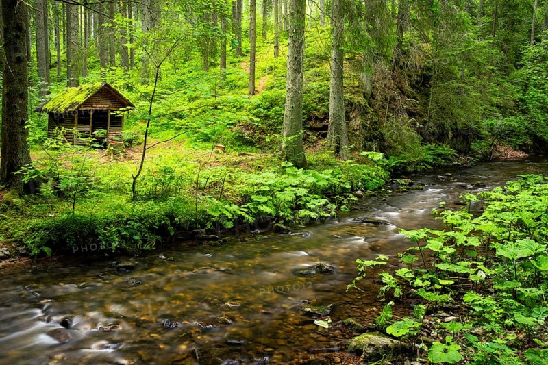 The Rötenbachschluchthütte in the forest, with moss on the roof. In front of it the Rötenbach with long exposure. Rötenbach gorge, Upper Black Forest, Baden-Württemberg, Germany