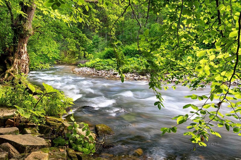 The river Wutach in the forest. Long exposure. Wutach Gorge, Upper Black Forest, Baden-Württemberg, Germany