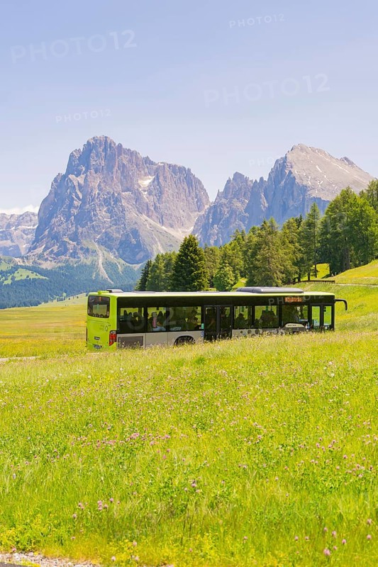 Green bus drives through green meadows in front of majestic mountains in summer, Alpe di Siusi, Dolomites, South Tyrol, Italy