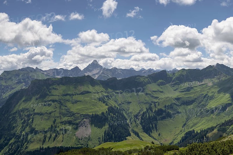 Mountain panorama from the Koblat high trail on the Nebelhorn over the Obertal valley with lush green alpine meadows to the Hochvogel and Rosszahn group with the Hochvogel, 2592m, Allgäu Alps, Allgäu, Bavaria, Germany