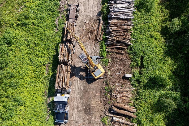 Tractor loading timber on a heavy hauler, Region of La Mauricie, Province of Quebec, Canada, North America