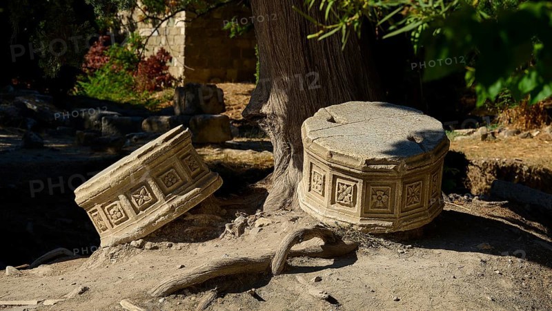 Two engraved stone cylinders resting in the shade of a tree in an ancient ruins site, Ancient Agora, Kos Town, Kos, Dodecanese, Greek Islands, Greece