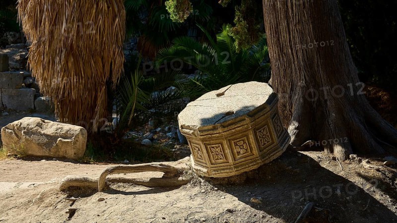 An old, dilapidated stone cylinder lies in the sunshine next to a tree, Ancient Agora, Kos Town, Kos, Dodecanese, Greek Islands, Greece