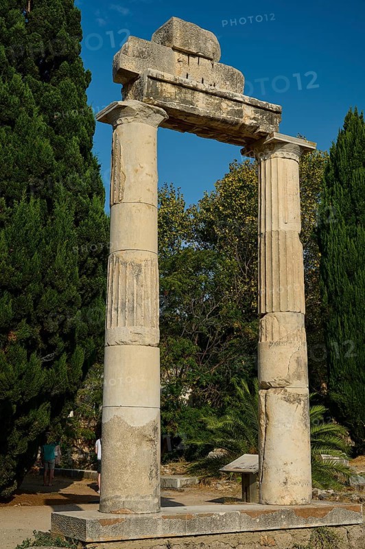 Free-standing ancient columns surrounded by dense vegetation, Ancient Agora, Kos Town, Kos, Dodecanese, Greek Islands, Greece