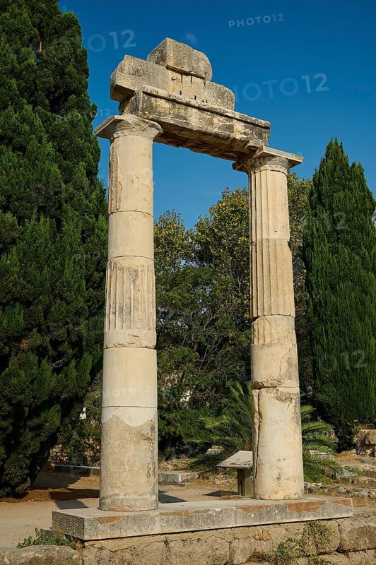 Free-standing ancient columns in front of a deep blue sky and trees, Ancient Agora, Kos Town, Kos, Dodecanese, Greek Islands, Greece