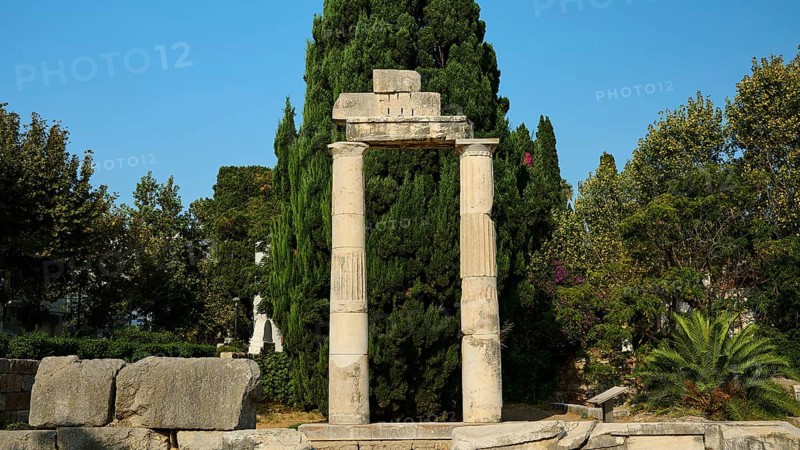Ancient Tor tor with columns and dense green tree in the background, Ancient Agora, Kos Town, Kos, Dodecanese, Greek Islands, Greece