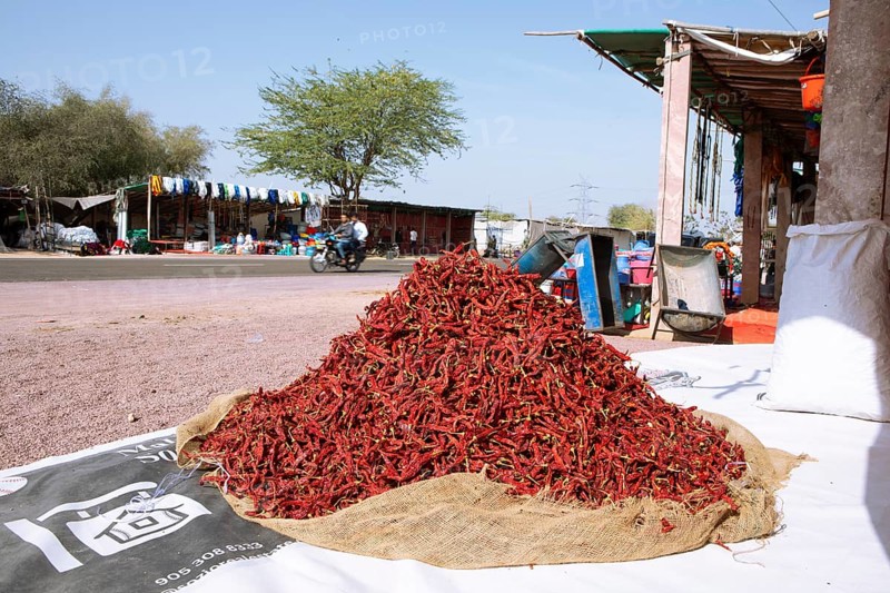 Chilli peppers in a heap at a market stall in the Thar Desert or Great Indian Desert, near Jaisalmer, Rajasthan, India