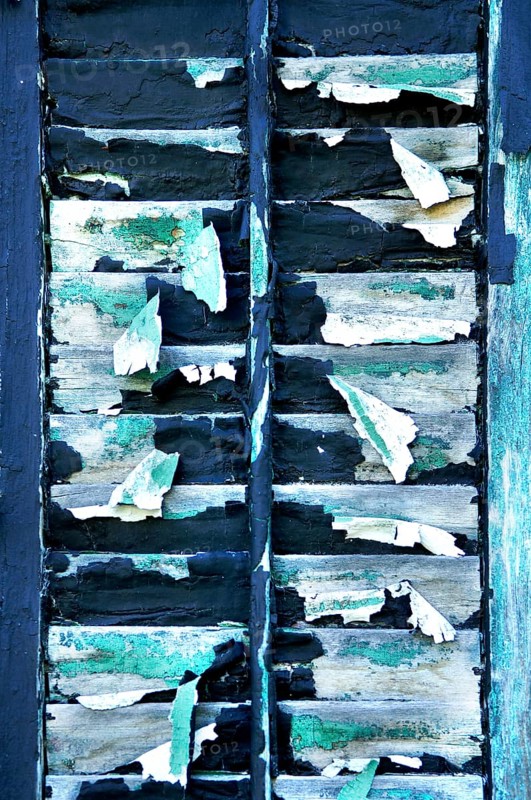 Peeling paint on a window shutter, Marksboro, New Jersey, USA