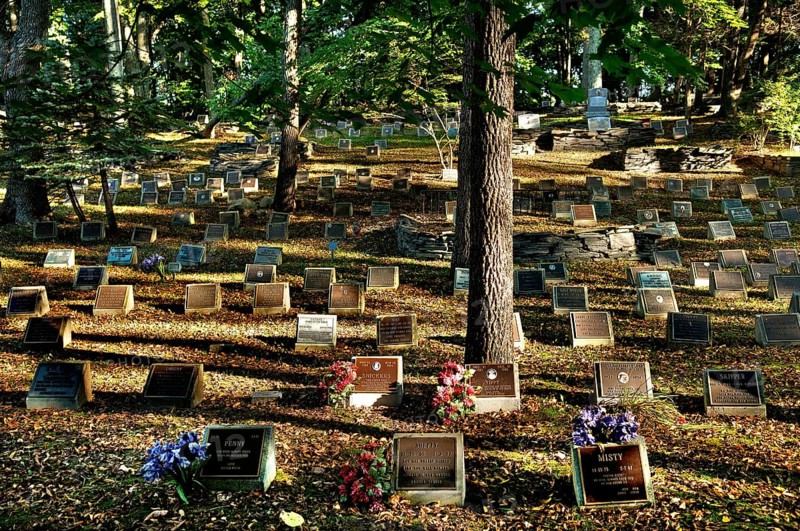 Dog cemetery, Blairstown, New Jersey, USA