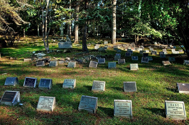 Dog cemetery in a wooded area, Blairstown, New Jersey, USA