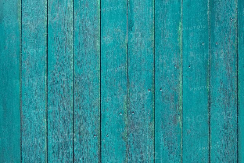 Detail of a green wooden door, background, texture, Münsterland, North Rhine-Westphalia, Germany