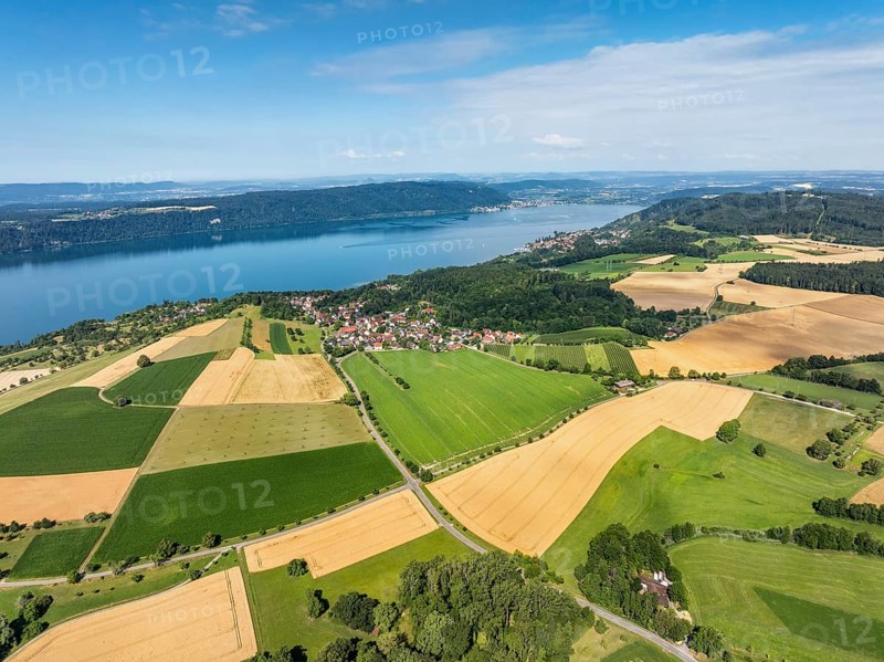 Luftbild vom Bodensee mit der Ortschaft Hödingen, umgeben von erntereifen Getreidefeldern, links am Horizont der Bodanrück, Überlingen, Bodenseekreis, Baden-Württemberg, Deutschland