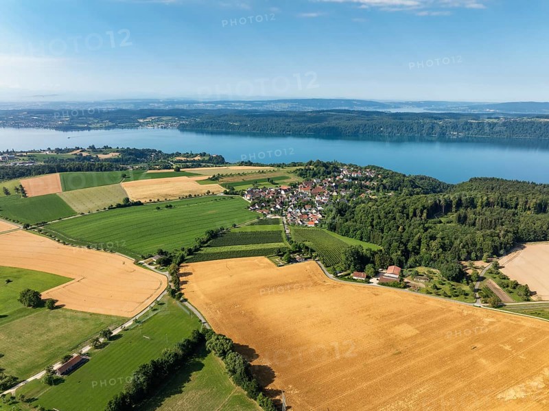 Luftbild vom Bodensee mit der Ortschaft Hödingen, umgeben von erntereifen Getreidefeldern, am Horizont der Bodanrück, Überlingen, Bodenseekreis, Baden-Württemberg, Deutschland
