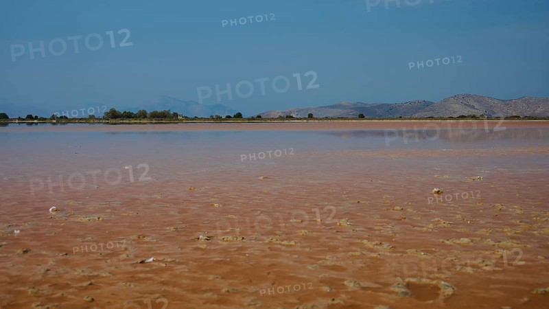 Expansive landscape with muddy shores and long stretches of water under a clear sky, salt lake, Tigaki, nature reserve, hydro biotope, Kos, Dodecanese, Greek islands, Greece