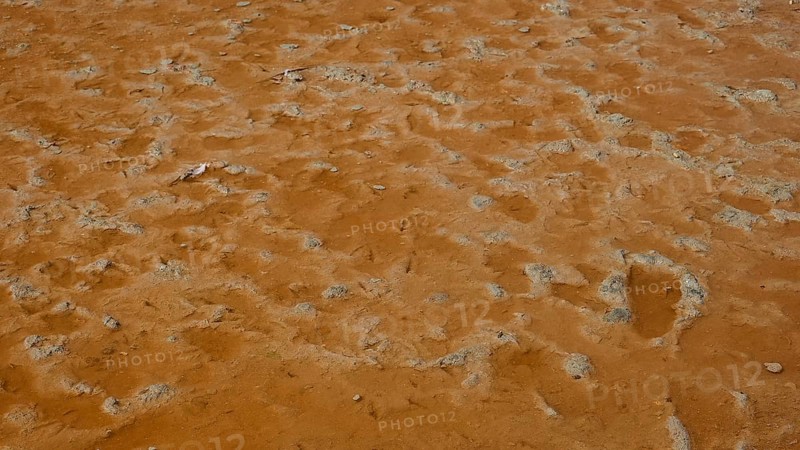 Close-up of ochre-coloured soil depicting natural patterns and textures, salt lake, Tigaki, nature reserve, hydro-biotop, Kos, Dodecanese, Greek Islands, Greece