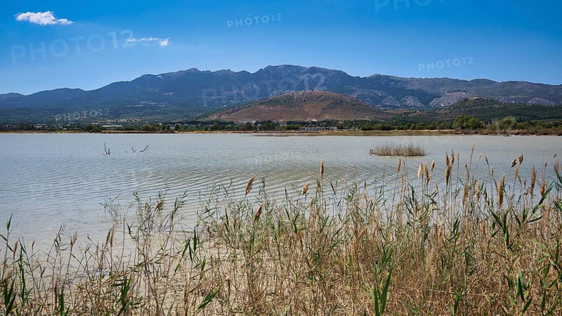 A calm lake with reeds in the foreground and mountains in the background under a clear sky, salt lake, Tigaki, nature reserve, hydro biotope, Kos, Dodecanese, Greek Islands, Greece
