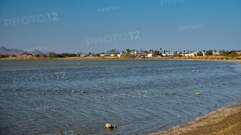 A coastal village on the shore of a lake in calm weather under a blue sky, salt lake, Tigaki, nature reserve, hydro-biotop, Kos, Dodecanese, Greek Islands, Greece